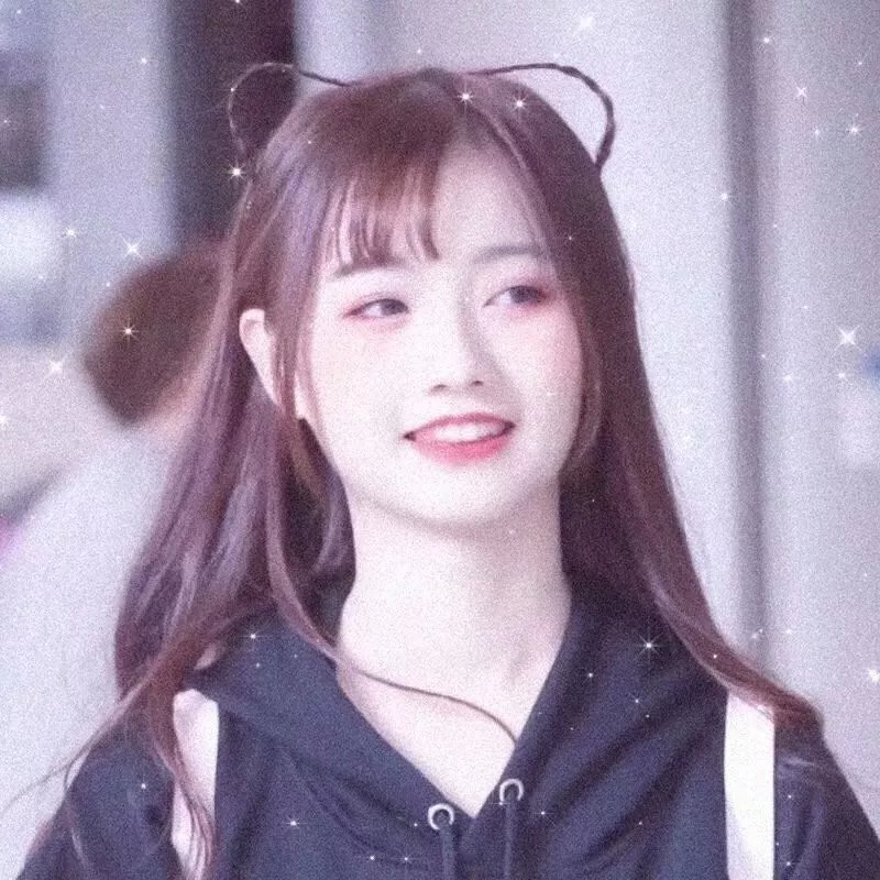 东北美发天团